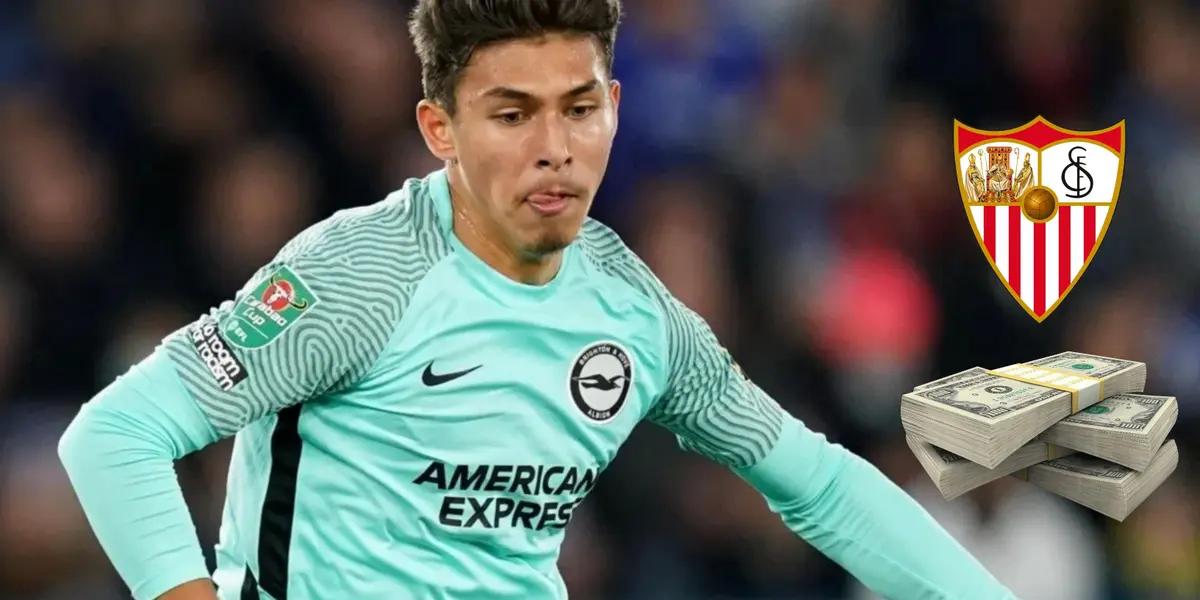 El volante ecuatoriano sigue destacando con el Brighton y genera aun más el aprecio de varios equipos importantes.