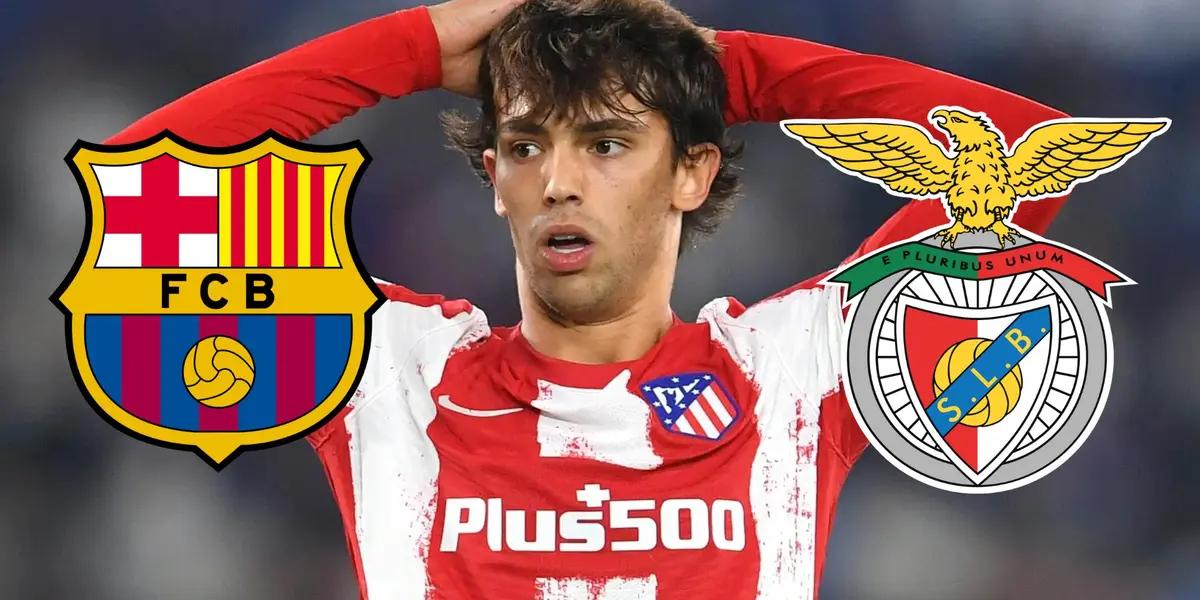 Joao Félix en el Atlético de Madrid. (Foto: GOAL)